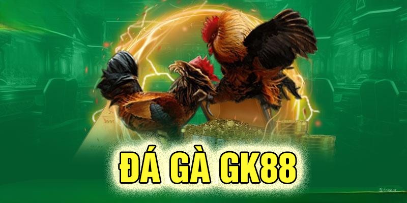 Đá gà GK88 sảnh game thu hút người xem nhiều nhất