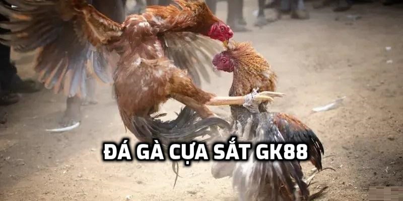 Chọi gà cựa sắt